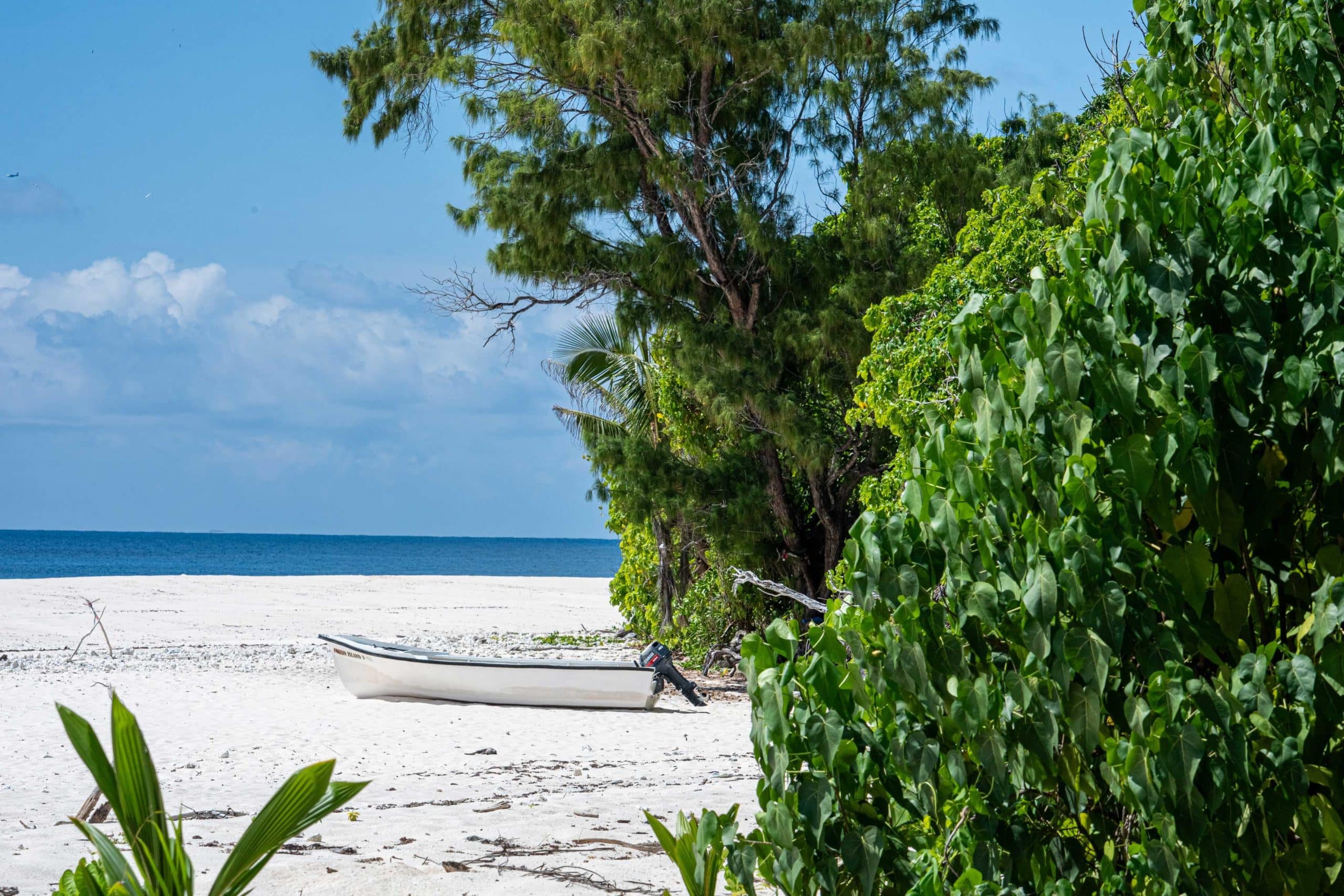 2025-Seychellen-cc-M.Glasmacher-Cousin-Strand