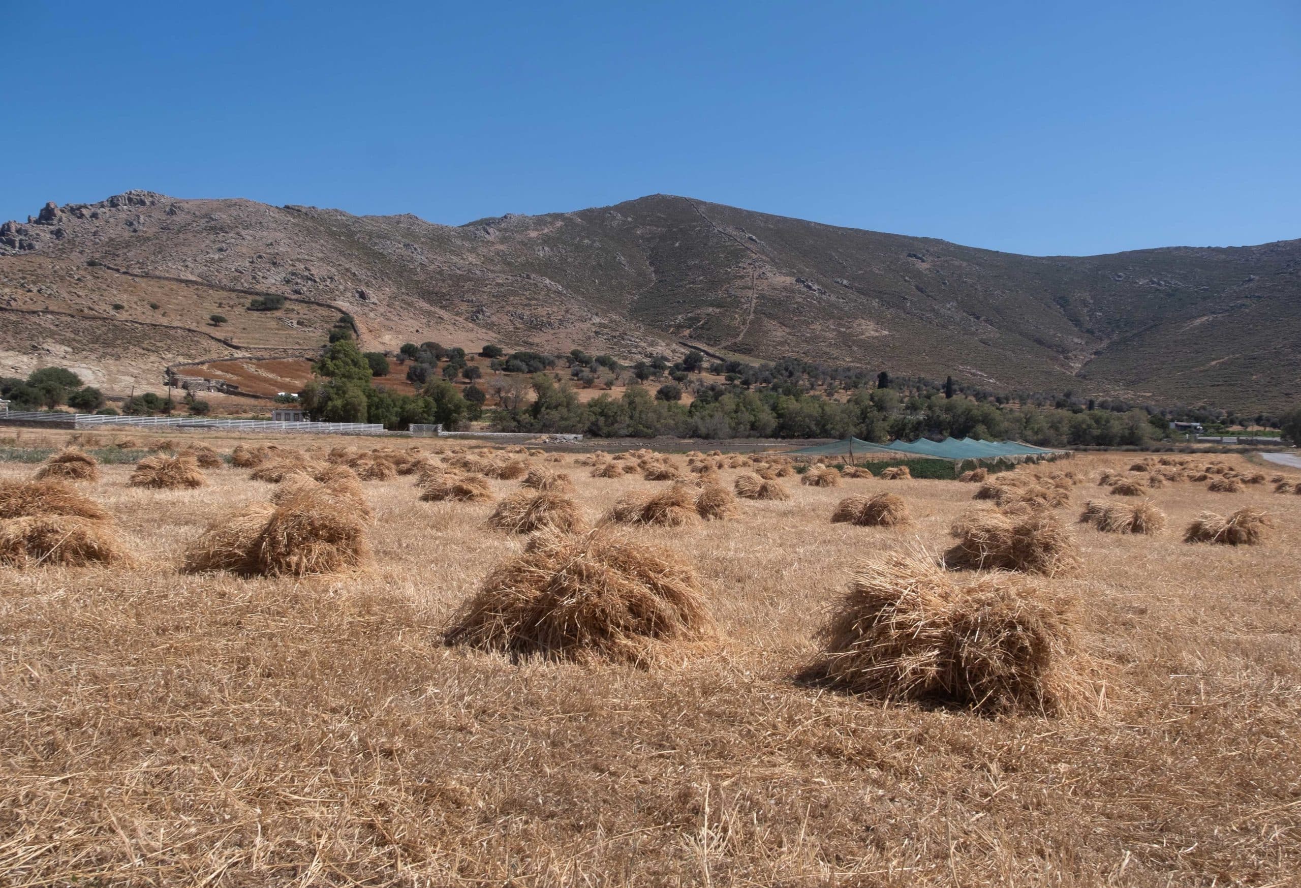 web-toern24-gr-kos-2024-patmos-land-04485