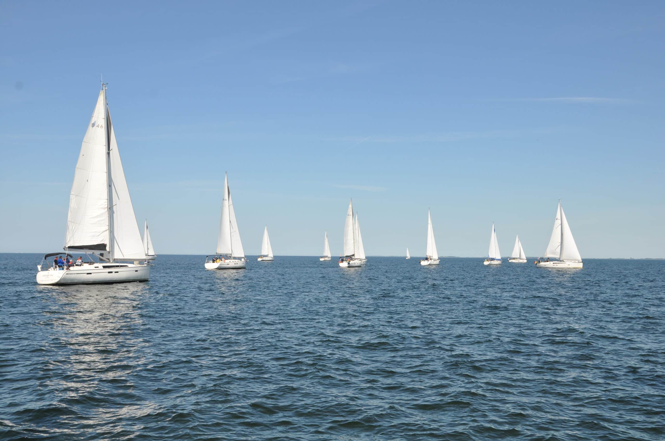 DSC_0518